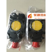 SIEMENS西門子燃?xì)鈮毫﹂_關(guān)QPL25.003  QPL25.010