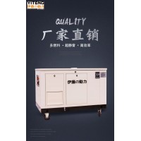 進(jìn)口20KW汽油發(fā)電機(jī)YT20RSE-ATS